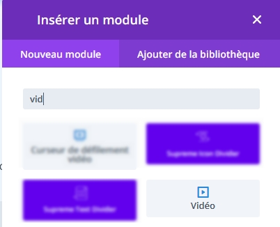Capture d’écran (51) inserer module video divi